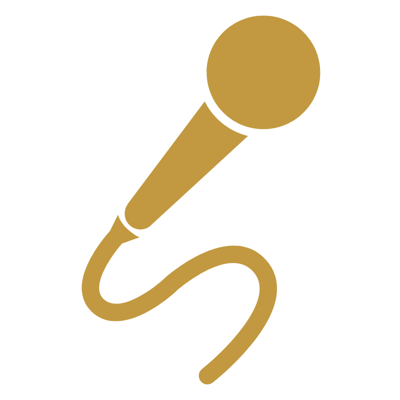 iconos ian - 2025-11-28T162945.380