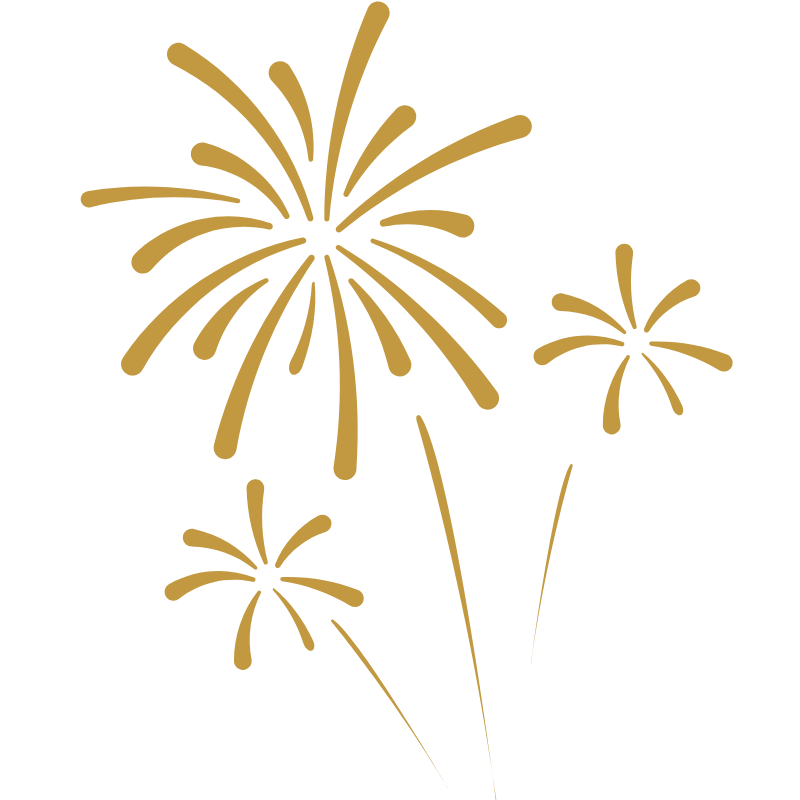 iconos ian - 2025-11-28T163037.073